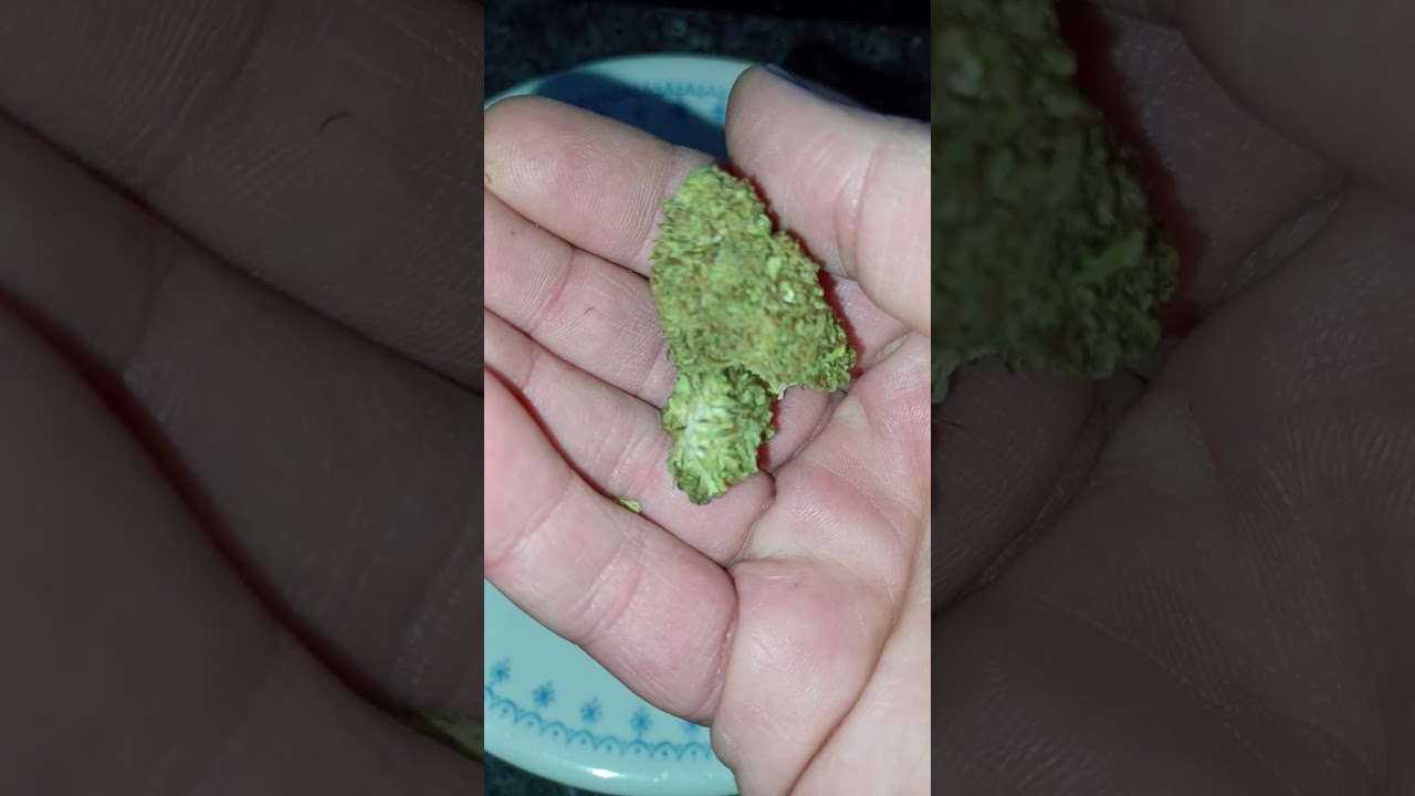 Sour Brulee, Tweedle Farms CBD hemp flower (is it good?)