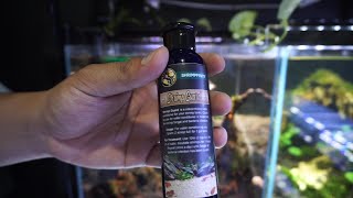 Shrimp Guard - Shrimpfinity