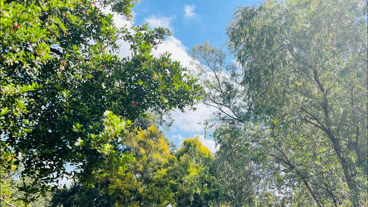 GOLD REEF CITY THEME PARK😻👅