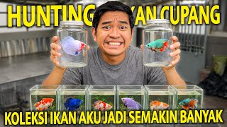 IKUTAN LELANG BETTA FISH BUAT NAMBAH KOLEKSI AKU! BEREBUT BETTA FISH LANGKA SAMA SULTAN!