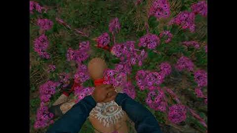 Far Cry New Dawn - Death from Above Back Takedown Animation