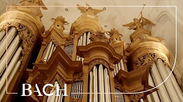 Bach - Ich ruf zu dir, Herr Jesu Christ BWV 639 - Van Doeselaar | Nederlandse Bachvereniging