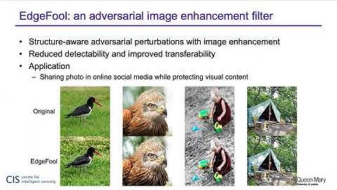 Semantic Adversarial Attacks for Privacy Protection