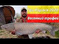 Ловля карпа в нерест, Одесская обл. г. Беляевка рк "Три Карася" 2020.  SMC baits vs Рыбацкий Край