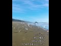 追憶(おもいで) 赤木圭一郎/歌詞2番