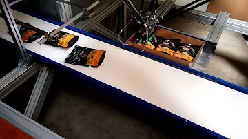 Pickmaster Crouton Packaging with ABB IRB360 Robot