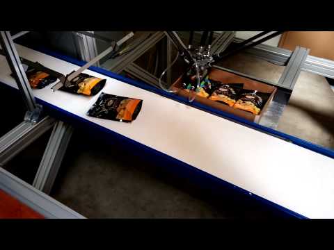 Pickmaster Crouton Packaging with ABB IRB360 Robot