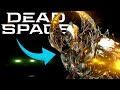 NECROMORPH NIDUS... (WARFRAME 2025 BUILD REFRESH)