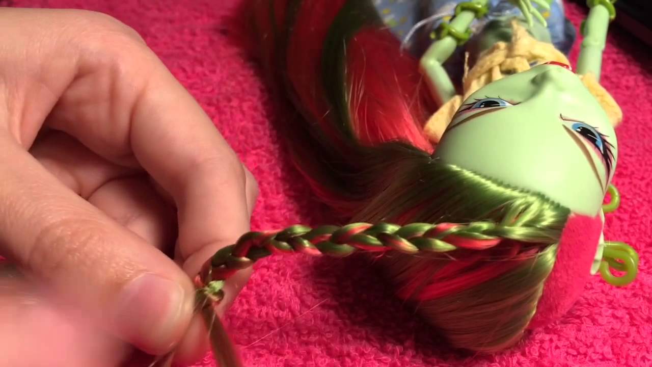 Venus McFly Trap Makeover