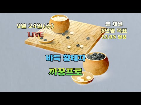 [생]바둑 황태자 까꿍프로