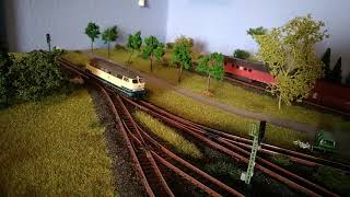 Spur N Digital, Br 216 224-6 Mit Silberlinge