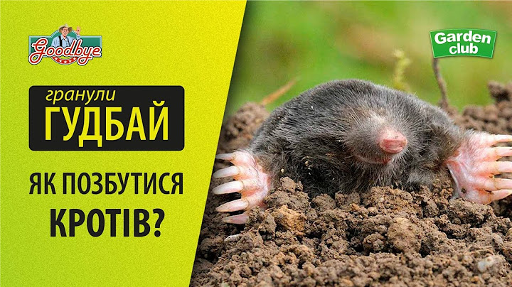 ЯК ПОЗБУТИСЯ КРОТІВ? БОРОТЬБА З КРОТАМИ. ГУМАННИЙ МЕТОД - ДОПОМОЖЕ ВИГНАТИ КРОТІВ ТА СЛІПАКІВ!