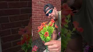 Artificial flowers are the easiest way to keep your porch, patio, and flower pots looking full
