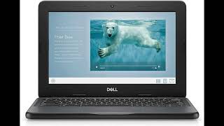 Dell Chromebook 11 3100 Review | Compact, Durable, and Student-Friendly