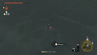 Camera Glitch (ToTK)