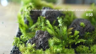 How to make a moss terrarium with the image of a sea of trees #58