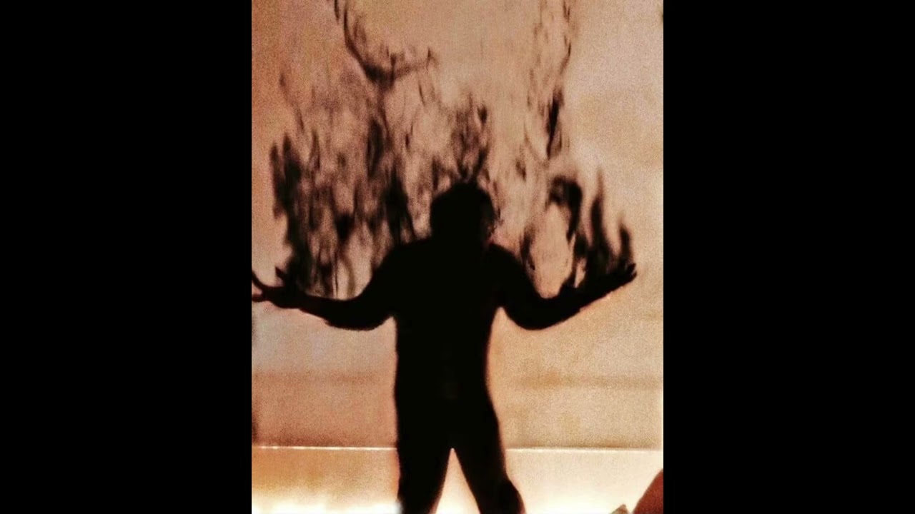 X E N O - giza & nigerra ( ადრესატს )