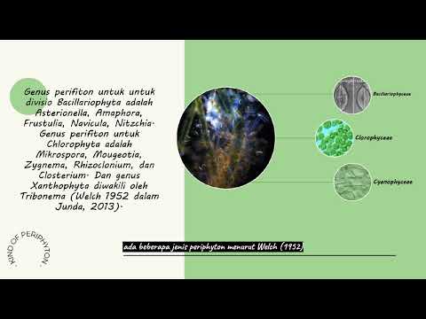 Kind of Periphyton by ANISA