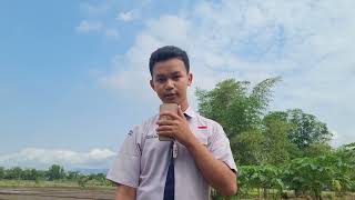 IPS ERA MODERNISASI DI BIDANG PENDIDIKAN