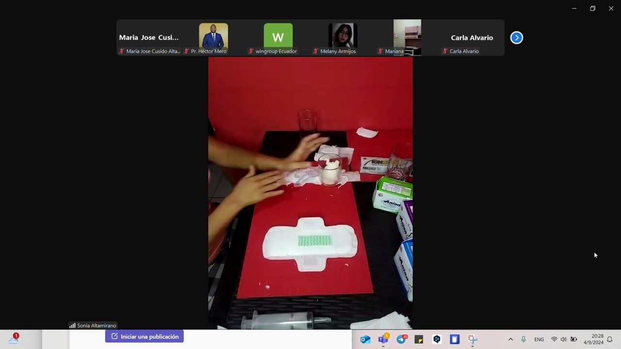 Presentación de Negocios TOALLAS ANION - Wingroup