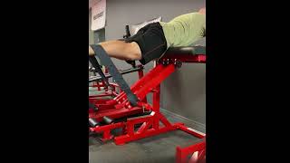 Famous Reverse Hyperextension - Strap - Both Legs Profile