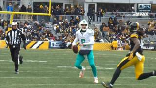 Matt Moore big hard hit: Miami Dolphins @ Pittsburgh Steelers 01-08-2017