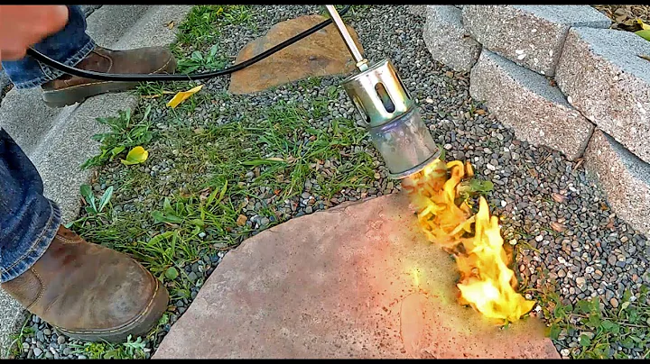 Weed Killer Manufacturers Don't Want You To Know About This Amazing Gardening Technology!