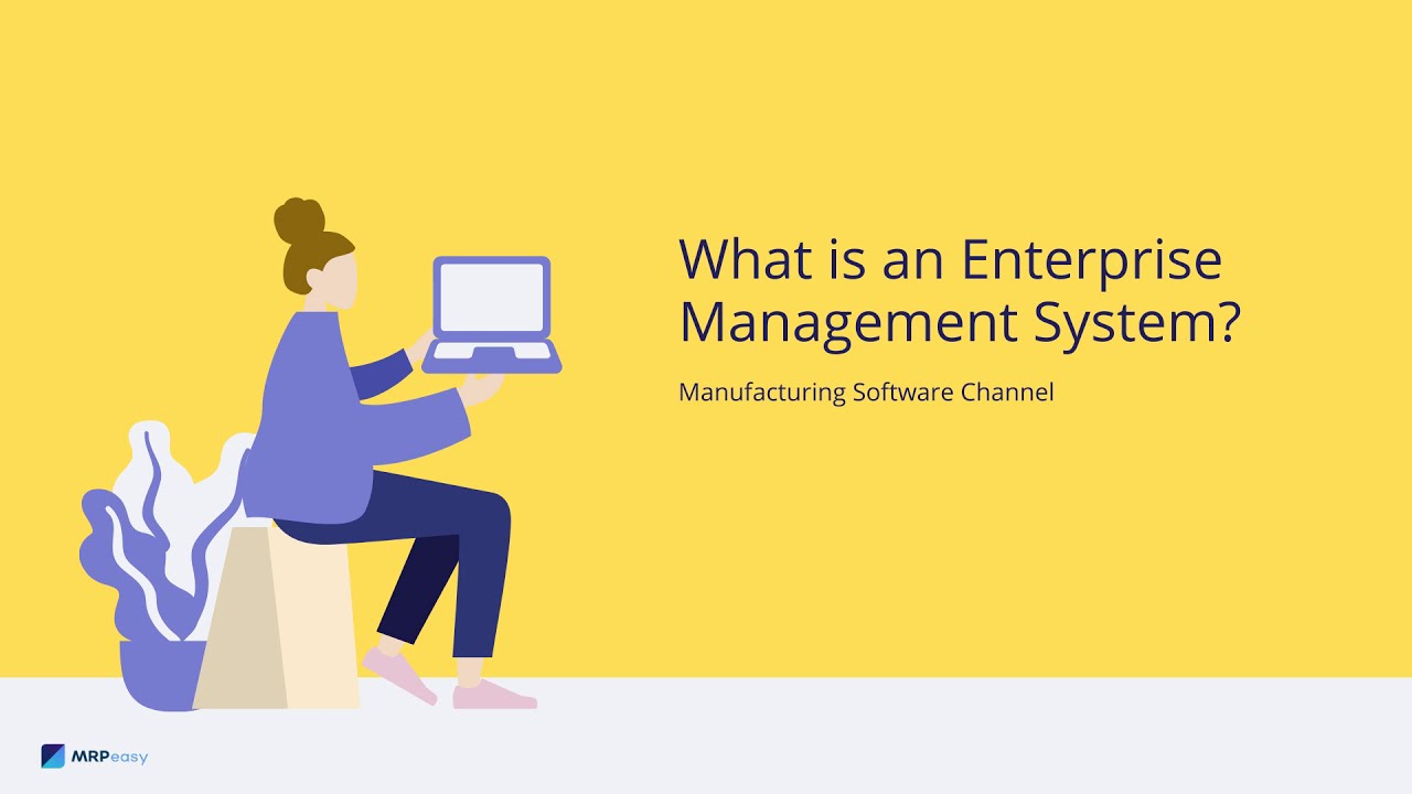 enterprise software คือ  Update 2022  What is an Enterprise Management System?