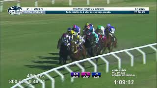 Vidéo de la course PMU PREMIO RICITOS 2008