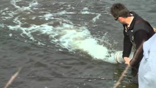 Best ever Iowa DNR Trout Stocking Moorland Pond Fishing Video by WillCFish Tips and Tricks.