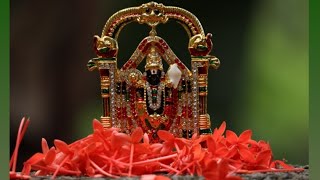 WHICH PUJA FLOWERS FOR WHICH HINDU GOD? IndiaTuber Hindu Pooja Phool Series-Part4 | IT: Video-5 screenshot 4