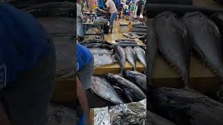 wow Amazing Tuna fish ?  කොහොමද සෙට් එක ලංකාවේ බඩු තමා?? ?? shorts