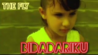 THE FLY - BIDADARIKU  (Official Music Video) chords