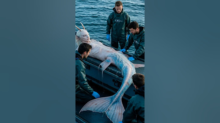 Is this the first real mermaid? Marine biologists in shock 🌊🧜‍♀️😱#mermaid