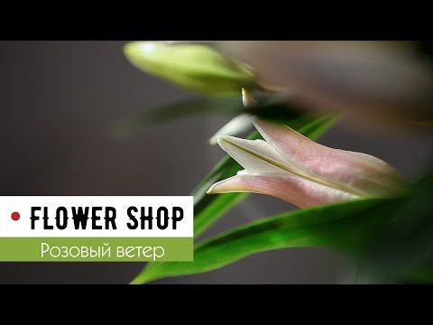 Advertising | Flower Shop "Розовый ветер"
