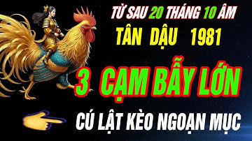 3 CẠM BẪYLỚN và Cú lật kèo ngoạn mục- Tuổi TÂN DẬU 1981 CHẮN CHẮN GIÀU KHÓ CƯỠNG LẠI