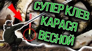 Как мастер спорта карася ловил