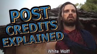 Black Panther Official Post Credits Scenes Explained Breakdown and Avengers Infinity War Set Up