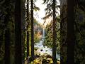 beautiful nature #shorts