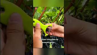 🌿🌺Аллаху принадлежит вся  власть./Коран сура "Али-'Имран" аят 189-190/سورة علي عمران آية 189-190🌺🌿