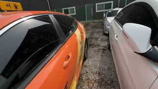 IMG 4782