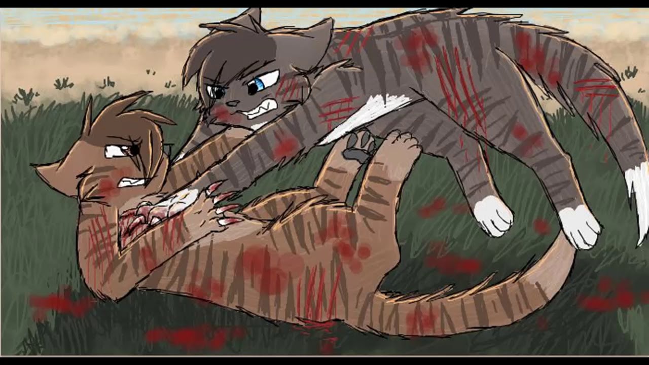 Картинки котов воителей смерти