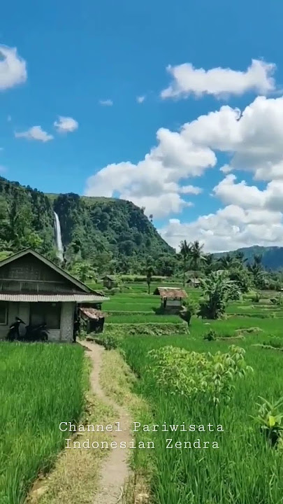 Story'WA | Pemandangan Sawah | Di Desa
