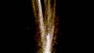 25032010(001).mp4