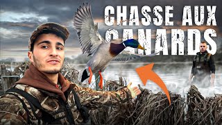 Chasse au Canard dans les marais inondés !