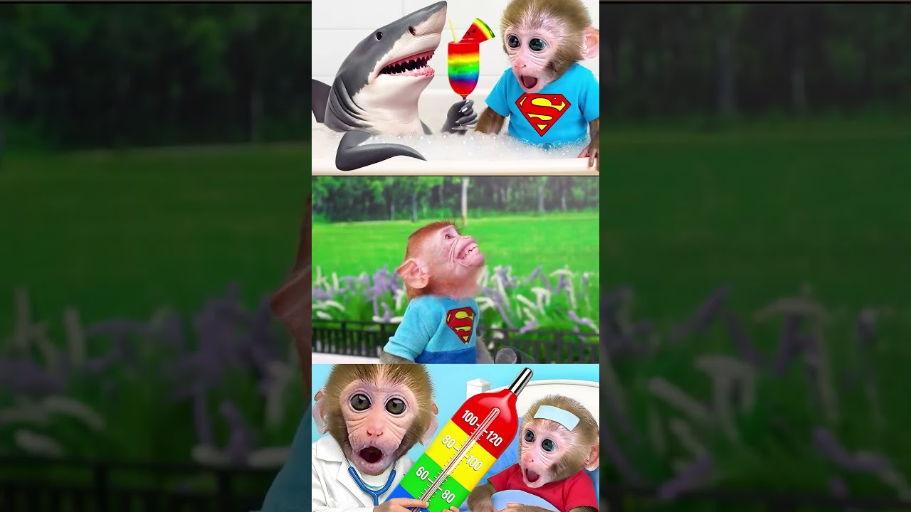 #monkeybabybonbon #bobykidstv #monkeybonbon #animalshome #cutemonkey #kindergarten #monkeyfunnyvideo