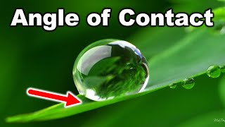 Angle of Contact || Surface Tension || for Class 11 in HINDI