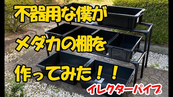 不器用な僕がメダカの棚を作ってみた めだかdiy ４ 美心めだか Youtube