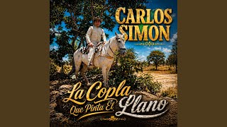 El Espanto de Salado Seco