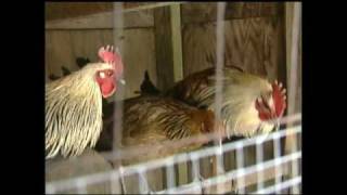 Joy Benedict Reporter/ Anchor Content